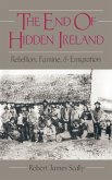 The End of Hidden Ireland