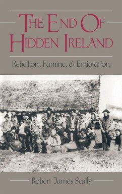 Cover The End of Hidden Ireland