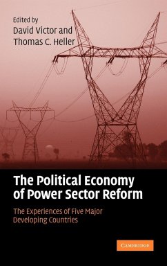 The Political Economy of Power Sector Reform - Victor, David G. / Heller, Thomas C. (eds.)