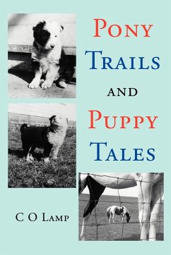 Pony Trails and Puppy Tales - Lamp, C O