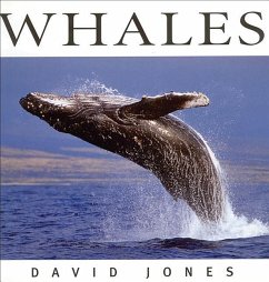 Whales - Jones, David
