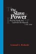 Slave Power - Bild 1