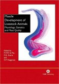 Muscle Development of Livestock Animals