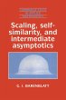 Scaling, Self-Similarity, and... - Bild 1