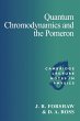 Quantum Chromodynamics and the Pomeron - Bild 1