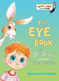 The Eye Book - Lesieg, Theo