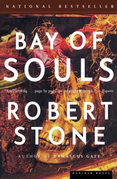 Bay of Souls - Stone, Robert