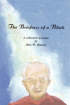 The Briefness of a Blink - Busséy, Alex W.