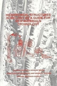 Hierarchical Structures in Biology as a Guide for New Materials Technology - National Research Council; Division on Engineering and Physical Sciences; National Materials Advisory Board; Commission on Engineering and Technical Systems; Committee on Synthetic Hierarchical Structures