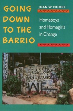 Going Down to the Barrio: Homeboys and Homegirls in Change - Moore, Joan