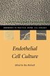 Endothelial Cell Culture - Bild 1