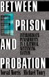 Between Prison and Probation - Bild 1