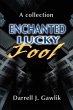 Enchanted Lucky Fool - Bild 1