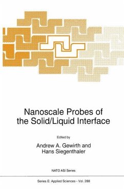 Nanoscale Probes of the Solid/Liquid Interface - Gewirth, Andrew A. / Siegenthaler, H. (Hgg.)