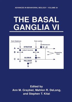 The Basal Ganglia VI - Graybiel, Ann M. / Delong, Mahlon R. / Kitai, Stephen T. (Hgg.)