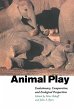 Animal Play - Bild 1