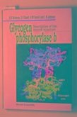 Glycogen Phosphorylase B: Description of the Protein Structure