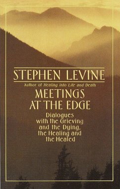 Meetings at the Edge - Levine, Stephen