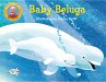 Baby Beluga - Bild 1