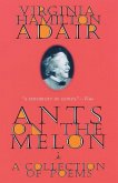 Ants on the Melon Ants on the Melon