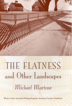 The Flatness and Other Landscapes - Martone, Michael