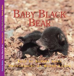 The Adventures of Baby Bear - Lang, Aubrey