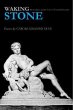 Waking Stone - Bild 1