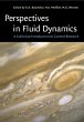 Perspectives in Fluid Dynamics - Bild 1