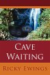 Cave Waiting - Bild 1