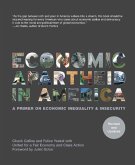 Economic Apartheid in America: A Primer on Economic Inequality & Insecurity