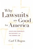 Why Lawsuits Are Good for America