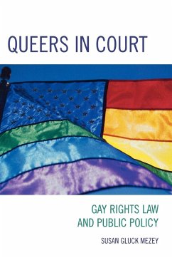 Queers in Court - Mezey, Susan Gluck