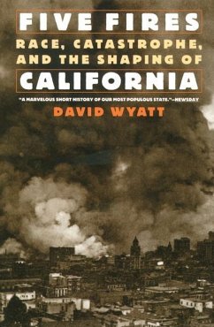 Five Fires - Wyatt, David