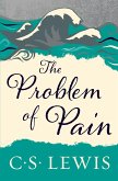 The Problem of Pain (Revised)