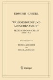 Wahrnehmung Und Aufmerksamkeit