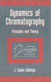 Dynamics of Chromatography