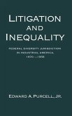 Litigation and Inequality Litigation and Inequality