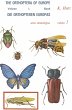 Die Orthopteren Europas / The... - Bild 1