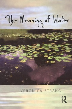 The Meaning of Water - Strang, Veronica