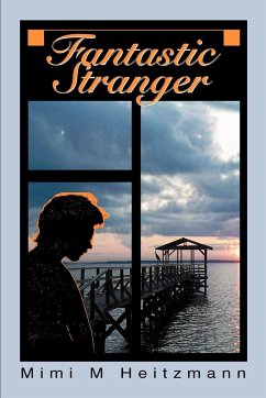 Fantastic Stranger - Heitzmann, Mimi M.