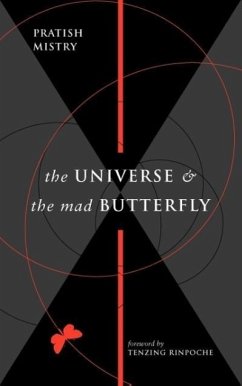 The Universe and the Mad Butterfly - Mistry, Pratish N.