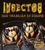 Insectos Que Trabajan En Equipo (Insects That Work Together)