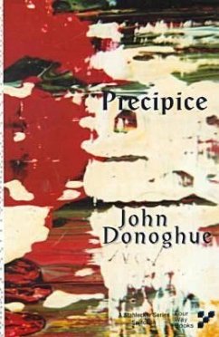 Precipice - Donoghue, John