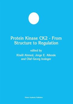 Protein Kinase CK2 ¿ From Structure to Regulation - Ahmed, Khalil / Allende, J.E. / Issinger, Olaf-Georg (Hgg.)