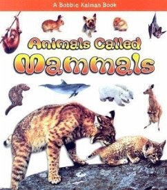 Animals Called Mammals - Kalman, Bobbie