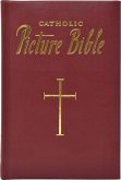 New Catholic Picture Bible