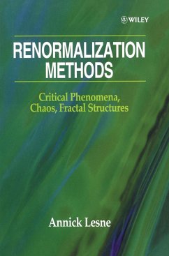 Renormalization Methods - Lesne, Annick