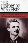 The History of Wisconsin, Volume III