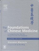 The Foundations of Chinese Medicine