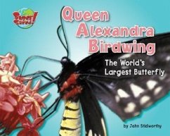 Queen Alexandra Birdwing: The World's Largest Butterfly - Stidworthy, John